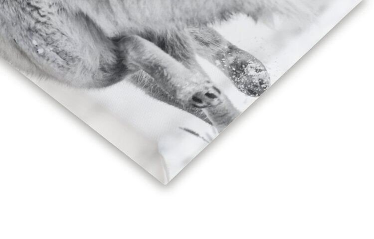 Leinwand Poster, Bilder Winter dream 2, Eiji Itoyama, 60 × 40 cm