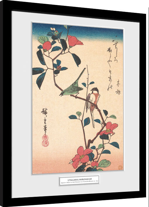 Hiroshige - Japanese White-eye and Titmouse Gerahmte Poster, Bilder, 34 × 44.2 cm