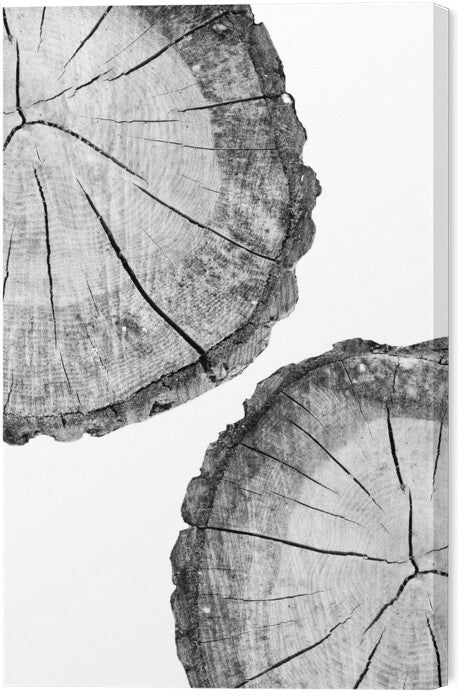 Leinwand Poster, Bilder Tree, Sisi & Seb, 40 × 60 cm