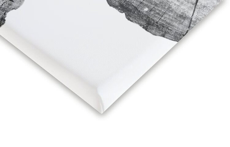 Leinwand Poster, Bilder Tree, Sisi & Seb, 40 × 60 cm
