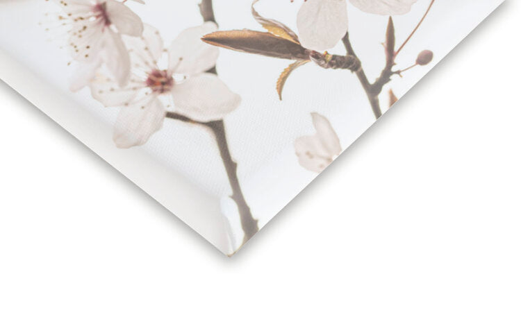 Leinwand Poster, Bilder Blossoming, Sisi & Seb, 40 × 60 cm
