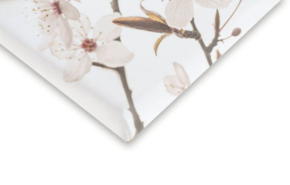 Leinwand Poster, Bilder Blossoming, Sisi & Seb, 40 × 60 cm