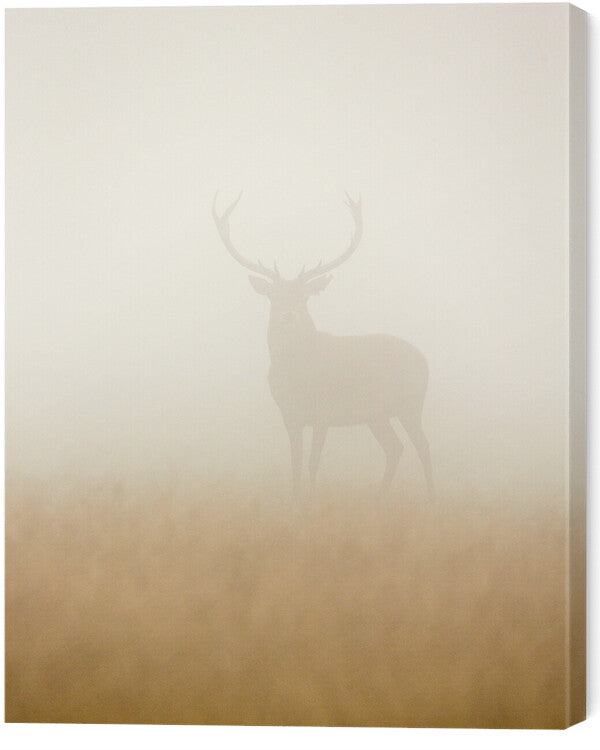 Leinwand Poster, Bilder Ghost Stag, Stuart Harling, 55 × 70 cm