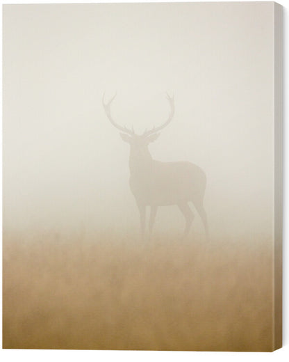 Leinwand Poster, Bilder Ghost Stag, Stuart Harling, 55 × 70 cm