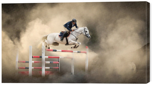 Leinwand Poster, Bilder White horse, Arif Unsal, 70 × 40 cm