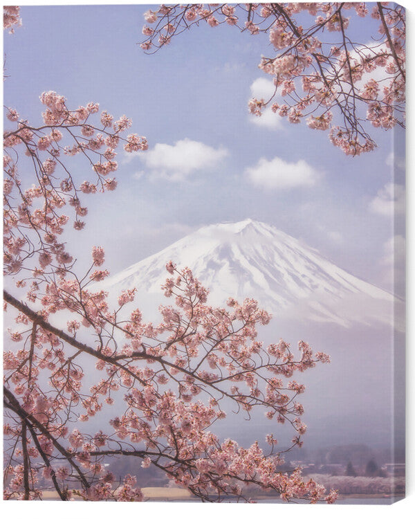 Leinwand Poster, Bilder Mt. Fuji in the cherry blossoms, Makiko Samejima, 55 × 70 cm