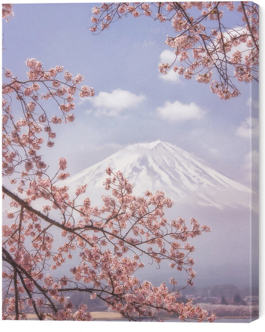 Leinwand Poster, Bilder Mt. Fuji in the cherry blossoms, Makiko Samejima, 55 × 70 cm
