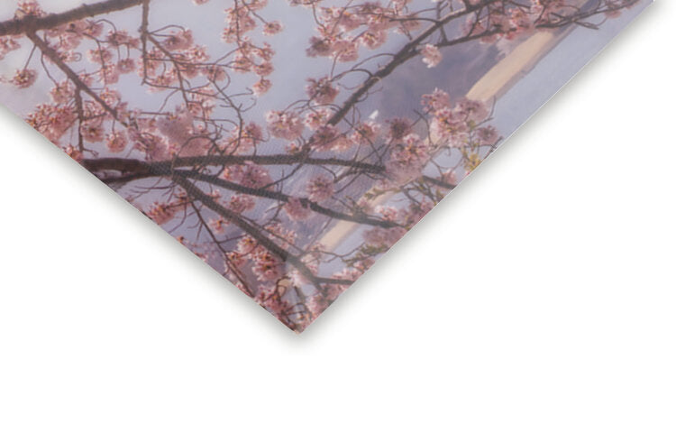 Leinwand Poster, Bilder Mt. Fuji in the cherry blossoms, Makiko Samejima, 55 × 70 cm