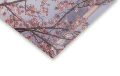 Leinwand Poster, Bilder Mt. Fuji in the cherry blossoms, Makiko Samejima, 55 × 70 cm