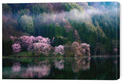 Leinwand Poster, Bilder In The Morning Mist, Takeshi Mitamura, 60 × 40 cm
