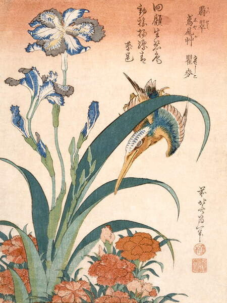 Leinwand Poster, Bilder Kingfisher, Hokusai, Katsushika, 60 × 80 cm
