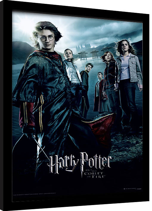 Harry Potter - Goblet Of Fire Gerahmte Poster, Bilder, 34.3 × 44.5 cm