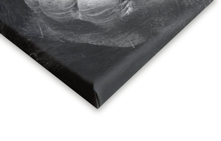 Leinwand Poster, Bilder I had a Dream, Antje Wenner-Braun, 60 × 60 cm