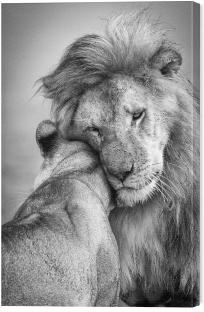 Leinwand Poster, Bilder African Love!, Ali Khataw, 40 × 60 cm