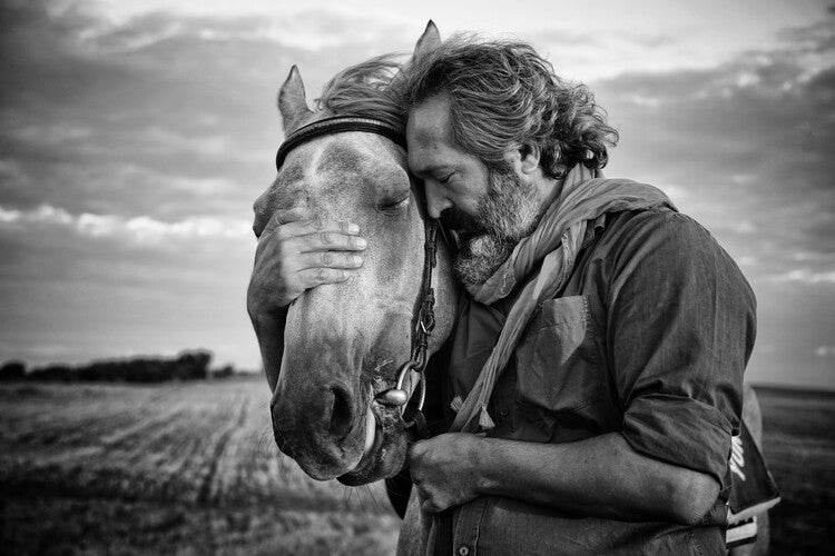 Leinwand Poster, Bilder share sorrow, Gilcan Mete, 90 × 60 cm
