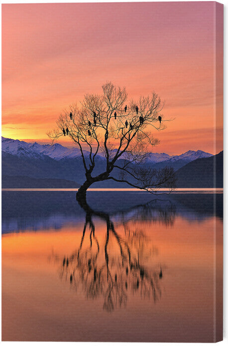 Leinwand Poster, Bilder Lone Tree is not Lonely, Mei Xu, 40 × 60 cm