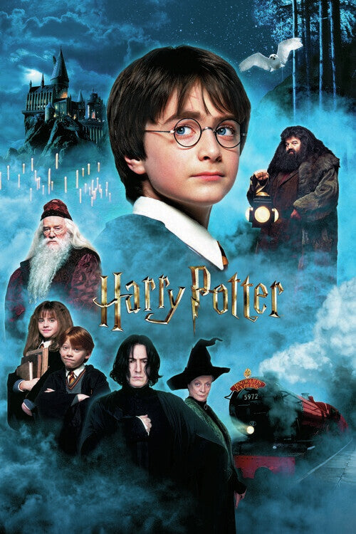 Harry Potter - Der Stein der Weisen Poster, Plakat, 26.7 × 40 cm