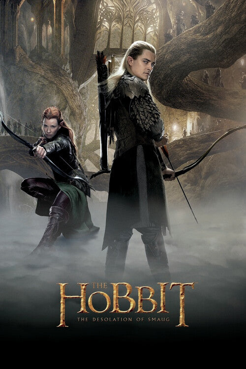 Der Hobbit: Smaugs Einöde Poster, Plakat, 26.7 × 40 cm