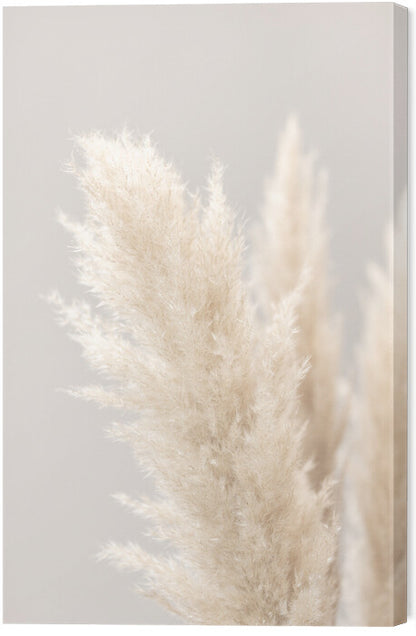 Leinwand Poster, Bilder Pampas Grass Grey 03, Studio Collection, 40 × 60 cm