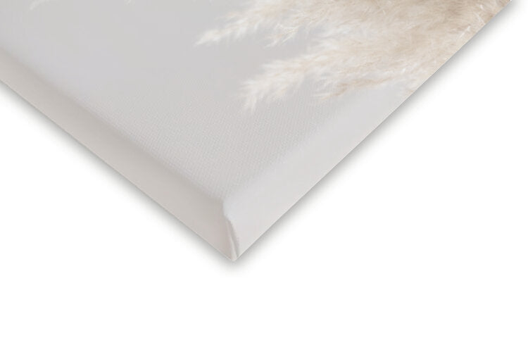 Leinwand Poster, Bilder Pampas Grass Grey 03, Studio Collection, 40 × 60 cm