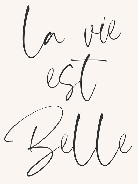 Leinwand Poster, Bilder La vie est belle, Studio Mottos, 60 × 80 cm