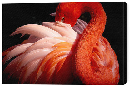 Leinwand Poster, Bilder flamingo, Makoto Nishikura, 60 × 40 cm