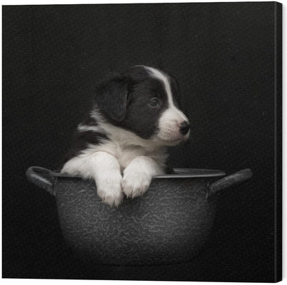 Leinwand Poster, Bilder The new dishwasher took his job very serious, Gert van den, 60 × 60 cm