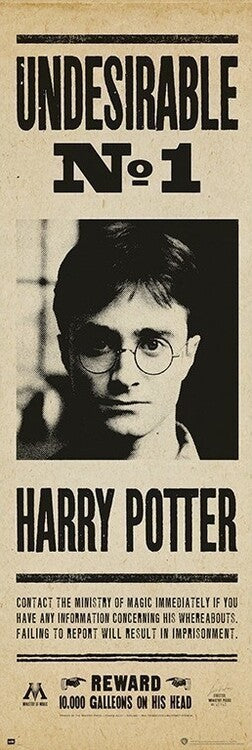 Harry Potter - Undersirable no. 1 Poster, Plakat, 53 × 158 cm