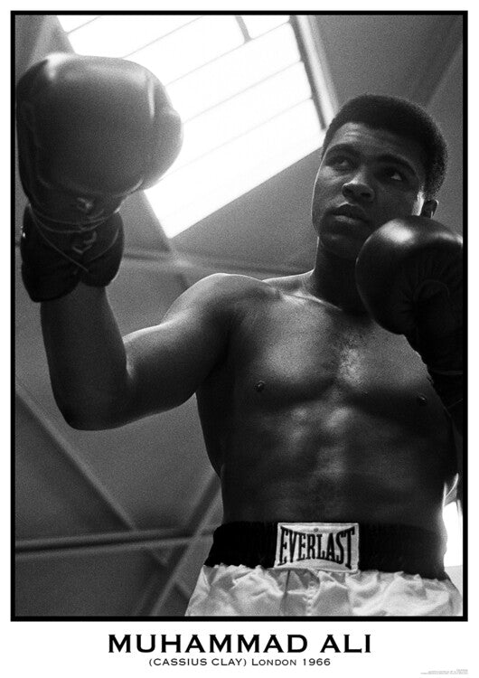 Muhammad Ali Poster, Plakat, 59.4 × 84.1 cm