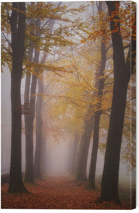 Leinwand Poster, Bilder Autumn magic, Saskia Dingemans, 40 × 60 cm