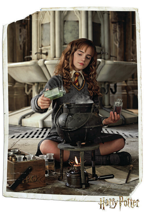 Harry Potter - Hermione Granger Poster, Plakat, 26.7 × 40 cm