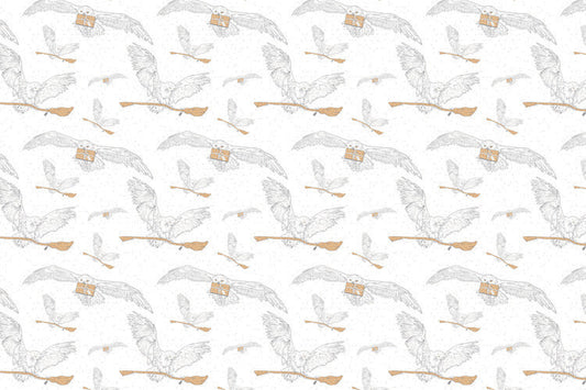 Harry Potter - Hedwig Poster, Plakat, 40 × 26.7 cm