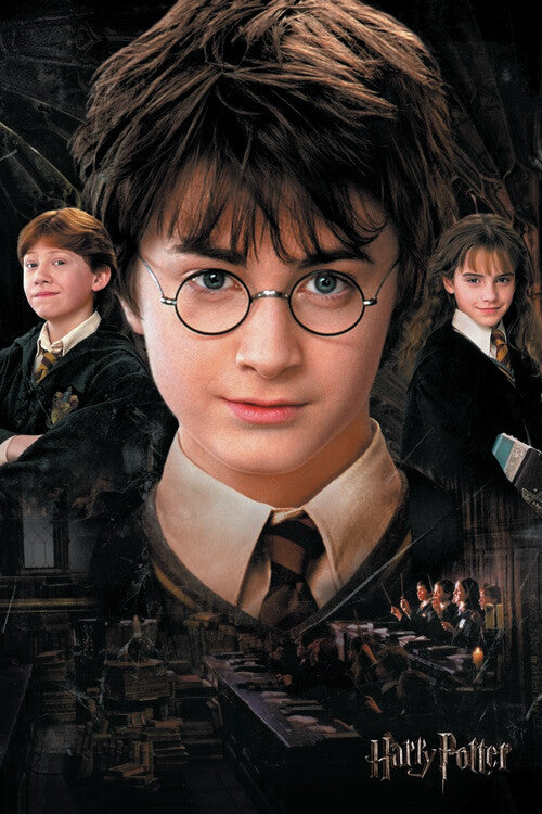 Harry Potter - Kammer des Schreckens Poster, Plakat, 26.7 × 40 cm