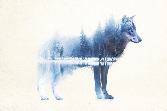Forest Wolf Poster, Plakat, 91.5 × 61 cm