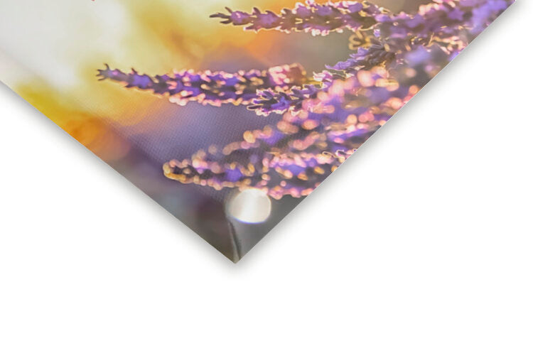 Leinwand Poster, Bilder Sparkling Lavender, 60 × 40 cm