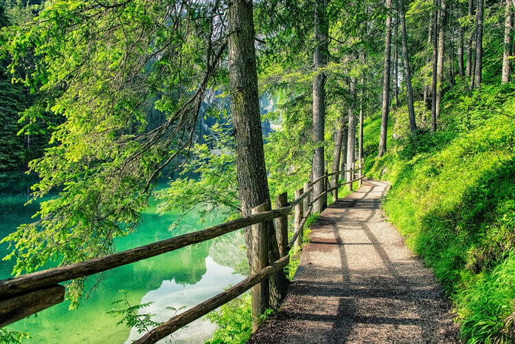 Leinwand Poster, Bilder Path By The Lake, 90 × 60 cm