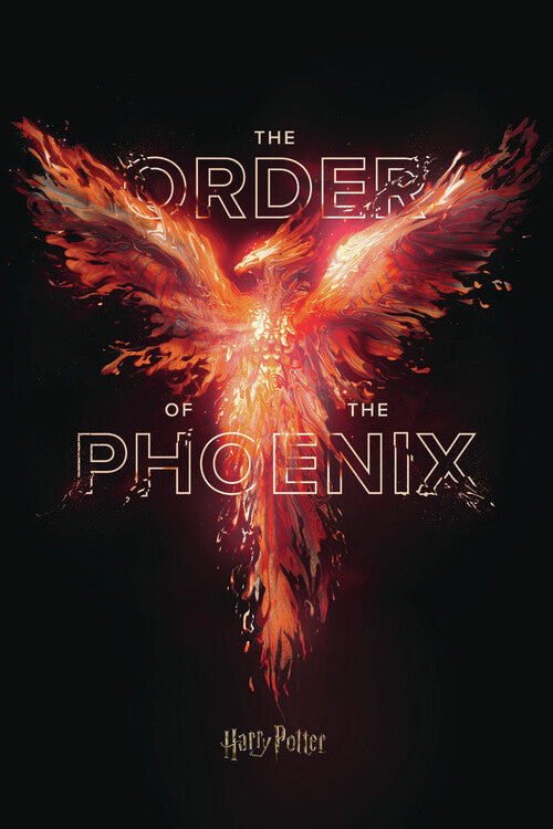 Harry Potter - der Orden des Phönix Poster, Plakat, 26.7 × 40 cm