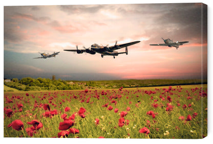 Leinwand Poster, Bilder BBMF Poppy Sunset, 60 × 40 cm