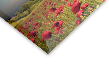 Leinwand Poster, Bilder BBMF Poppy Sunset, 60 × 40 cm