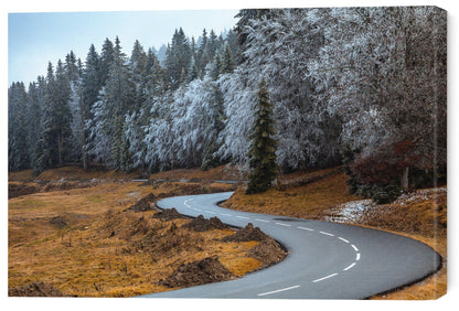 Leinwand Poster, Bilder The road and the frozen trees, Visions Paralleles, 60 × 40 cm