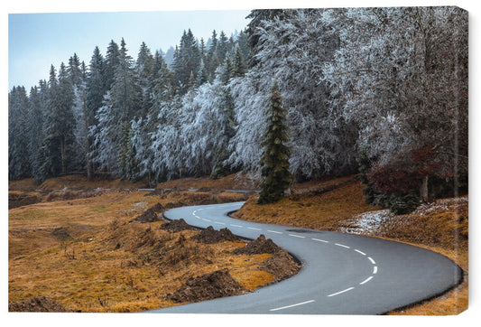 Leinwand Poster, Bilder The road and the frozen trees, Visions Paralleles, 60 × 40 cm