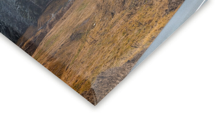 Leinwand Poster, Bilder The road and the frozen trees, Visions Paralleles, 60 × 40 cm