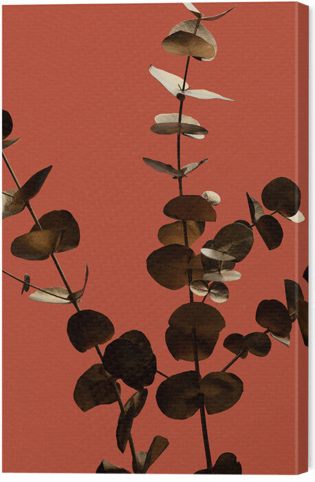 Leinwand Poster, Bilder Eucalyptus Gold Rust 01, Studio Collection, 40 × 60 cm