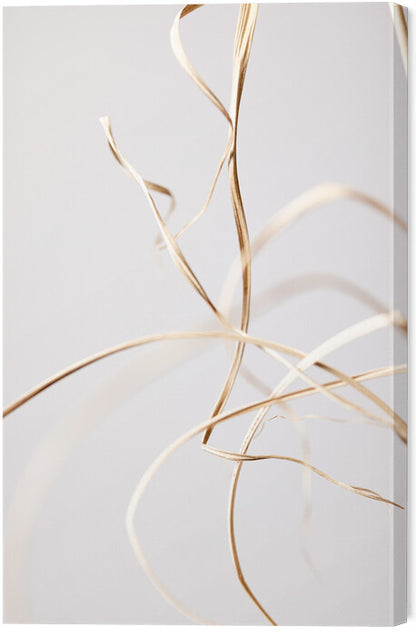 Leinwand Poster, Bilder Dried Grass Grey 02, Studio Collection, 40 × 60 cm