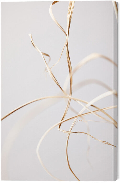 Leinwand Poster, Bilder Dried Grass Grey 02, Studio Collection, 40 × 60 cm