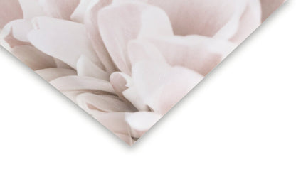 Leinwand Poster, Bilder Chrysanthemum No 04, Studio Collection, 40 × 60 cm