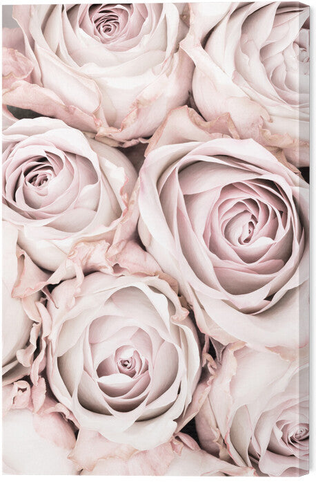 Leinwand Poster, Bilder Pink Roses No 01, Studio Collection, 40 × 60 cm