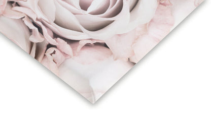 Leinwand Poster, Bilder Pink Roses No 01, Studio Collection, 40 × 60 cm