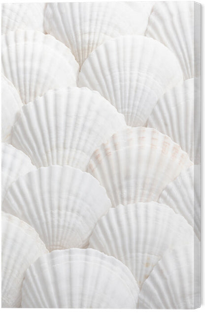 Leinwand Poster, Bilder Shells_3, Studio Collection, 40 × 60 cm