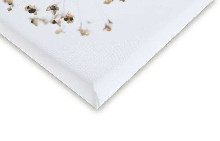 Leinwand Poster, Bilder Dried Flower_2_natural, Studio Collection, 40 × 60 cm